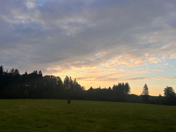 Abendstimmung über der Festwiese